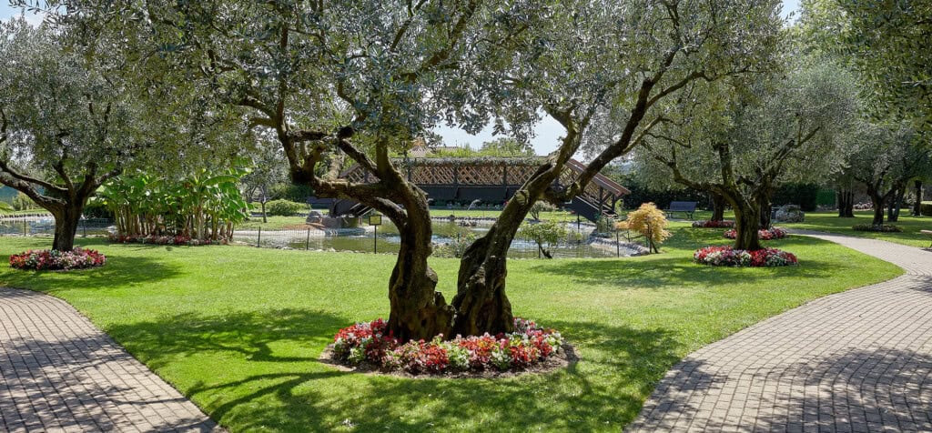 Trädgård på Villa Quaranta Tommasi Wine Hotel & SPA